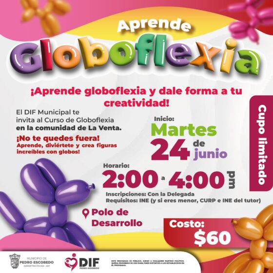 CURSO GLOBOFLEXIA